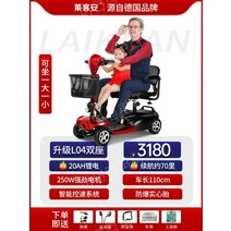 노인전동차 전동카 어르신 소형전기차, 24V, 2인승20Ah 리튬 배터리 70마일 250W