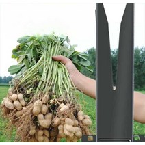 땅콩탈곡기 수동 가정용 농업용 겸용 수확기 탈피기 들깨 콩, 땅콩 수확기 1개