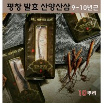 산양산삼 컴파운드K 발효산양삼 산삼 선물세트 자연산산삼 자연삼 발효삼 뿌리삼 천종산삼 장뇌삼 새싹삼 산삼주 산삼잎 진세노사이드 저분자 활성 특이 사포닌 국내산, 1세트, 10뿌리세트