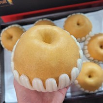 초신선 배 햇배 제철과일 백화점납품 가락시장경매, (특1등급) 배 3.8kg 5~6수
