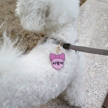 강아지 네임택 인식표 명찰 반려견 아크릴 이름표, 핑크
