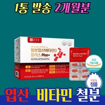 임산부철분제 비타민B 구리 약 2개월 60 캡슐 가성비 좋은 10 20 30 40 대 남성 여성