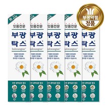 잇몸전문 부광탁스 치약 120g x 5개, 단품
