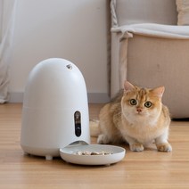 고양이 강아지 자동급식기 어플 사용 카메라, 카메라 자동급식기