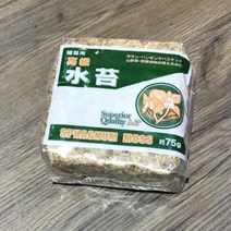 난화분에 덮는 토피어리 수태 마른이끼 75g 모스 식덕