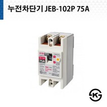 진흥 누전차단기 JEB 102P 75A ( JEB-102P ), 1개