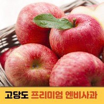 정품 프리미엄 엔비사과 국산 고당도 충남 엔비 엠비사과 꿀사과 5kg 10kg 중대과, 정품 10kg (38과)