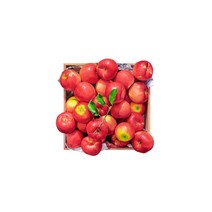 [프린트베이커리] 에디션/ 윤병락_가을향기 26 -Half size