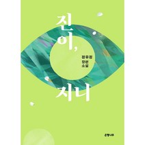 진이 지니 (큰글자도서), 정유정 저, 은행나무