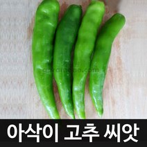아삭이 고추씨앗 오이고추 씨앗 고추 pepper seed 50알, 1개