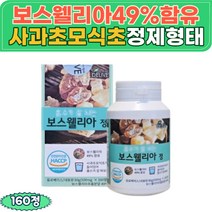 보스웰리아 추출분말 정 테르펜 사과초모식초 다당류보스웰릭산 추천 아미노산 페놀 바질씨앗 약재 BOSWELLIA 부모님 선물 직장인 실버 시니어 보스엘리아 먹는법 유황나무 수지