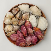 삼삼해물 모듬조개 조개구이 조개탕 조개찜 세트, 조개탕/찜 프리미엄세트, 1개