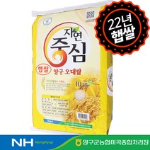 [하루세끼쌀] 22년 햅쌀 양구농협 양구 오대미 오대쌀 10kg 상등급+당일도정+무료안심박스