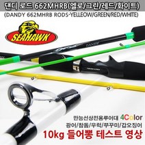 씨호크 662B 댄디로드 선상바다 베이트 루어낚시대 광어참돔우럭쭈꾸미갑오징어, 레드