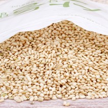 부드러운 국내산 찰현미 1kg 소화잘되는잡곡 찰진현미쌀 잡곡밥입문 찰진찰