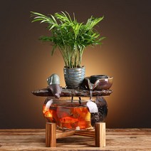 네온테트라 희귀열대어 새우키우기 어항꾸미기 루돌프구피 하프문베타 엔젤피쉬A48, 옵션1