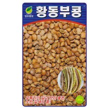 성우 황동부콩씨앗 30g, 황동부콩