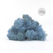 비오스 스칸디아모스 20g-천연이끼 공기정화식물, 14번