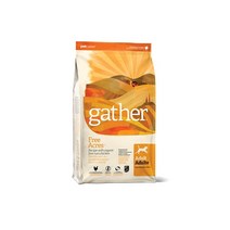 게더 프리에이커 치킨 레시피 건식사료, 1kg1개