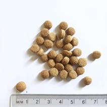 웰시코기 애견밥 퍼그 애완견밥 프리미엄 노령견 닥스훈트 균형영양 10KG, 10000g