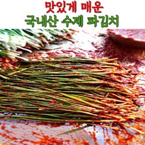 국내산 수제 맛있게 매운 불 파김치 실비김치 1kg 3kg 5kg, 불김치_파김치_1kg