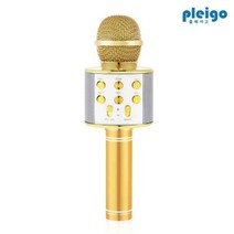 홈노래방 블루투스 마이크, 플레이고