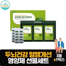 중외제약 건강기능식품 선물 패키지 3개월분 은행잎추출물 비타민E 아연 기억력 혈행 개선