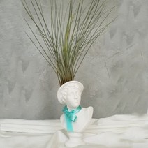 기타 바보사랑[모리아트]대만여인 석고상화분 틸란드시아 준세아+모스+리본, 니오베