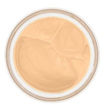 Chantecaille 샹테카이 퓨쳐 스킨 파운데이션 30g 카모마일