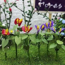 [알파] [포레스]모형안수리움, 옵션없음:[6492190]옵션없음