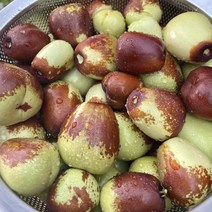 고당도 프리미엄 사과대추 천황대추, 1개, 500g