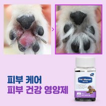 펫또마망 강아지 피부 영양제 습진/붉은피부/피부면역 2BOX, 피부건강에 도움 2BOX