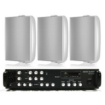 TANNOY DVS6 카페 디저트 카페 스피커 RS45TD63 흰색, DVS 6, SR450D