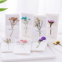 말린꽃카드/드라이플라워 카드/프리저브드플라워 카드*, 아이보리꽃