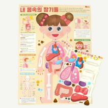 인체 컬러링 페이퍼 DIY만들기키트, 단품