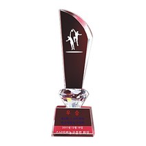 MG몰 트로피 트로피제작 우승 시상 축구 야구 DS12-71
