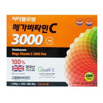비타블로썸 메가 비타민C 3000 파인 영국산 비타민C 고함량 가루 비타민C 항산화 비타민, 1개, 120포