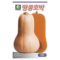 꼬마짱호박 씨앗 5립 밤호박 미니호박씨앗 호박씨앗 조선호박 채소씨앗 야채씨앗 재배, 05_다농_땅콩호박(10립)