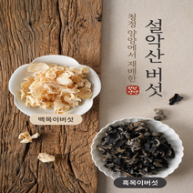 국내산 무농약인증 생목이버섯 건목이버섯, 1개, 건흑목이버섯(100g)