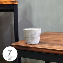 베스트하우스+모던 시멘트 화분 미니 미분형 7x6cm [CODE+320A5F]