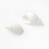 오꿈 조개껍질 조개껍데기 소라껍데기 소라껍질, A10 조개껍질 소라b, 봉