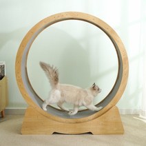 저소음 고양이 캣휠, 1개, 107cm