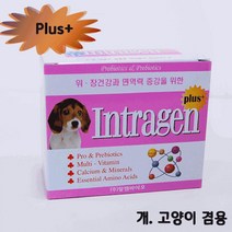 인트라젠 플러스 스틱 2GX30P 면역강화제 반려견영양제