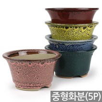 중형 NEW 사각 화분 5종세트 - 다육 다육이 대형 화분세트 도자기 선인장 베란다 사무실 인테리어 예쁜화분 국내산화분, 04_대진_신원형화분5종세트(중대형)