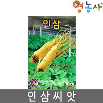 인삼씨앗 20립, 인삼
