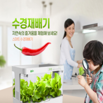 가정용 수경재배기 식물등 LED 원예 교육 채소 미니온실 스마트팜 실내 식물키우기, 화이트