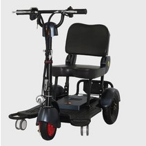 성인용세발자전거 어른세발자전거 삼륜자전거 동봉 된 큰 바퀴 유럽 창고 성인 3 바퀴 세발 자전거 미니 접이식 전기 스쿠터, 48v12ah 블랙