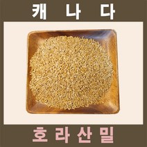 The큰나무 (3일특가) 캐나다산 호라산밀 5kg 착한 탄수화물, 5kgx1팩(총 5kg)
