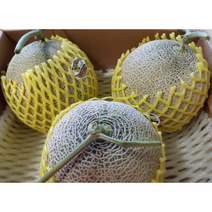 고당도 머스크 멜론 2수 3수 4수 / 3kg 4kg 8kg melon 얼스 고창 세지 곡성 멜론 메론 꿀메론 가정용 선물용 선물세트 추석 명절 선물, 8kg(3~4수), 1개