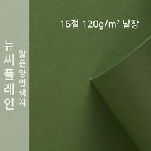 뉴씨플레인 종이문화 얇은 양면색지 120g 16절 낱장 1매 No.62 솔잎색, 1장